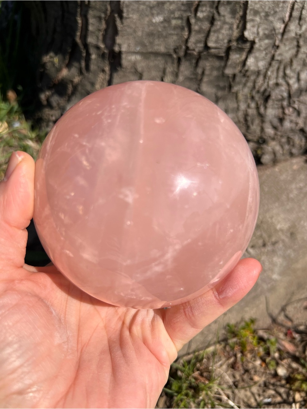 Starlight (12) Rose Quartz Sphere - Crystal